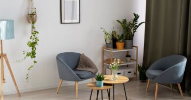 Ce-mobilier-si-elemente-de-decor-sunt-necesare-in-living